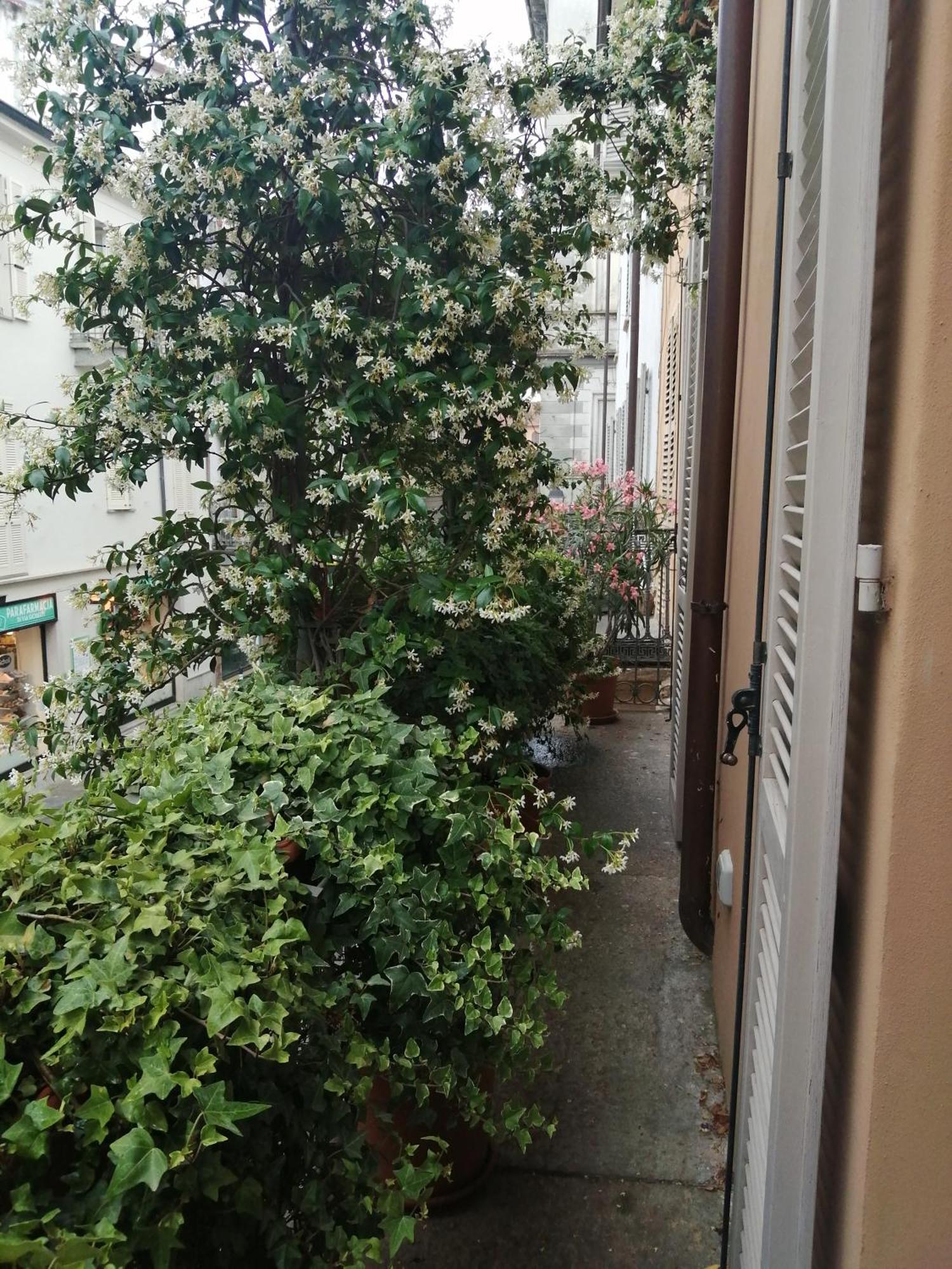Le Melusine Apartment Vercelli Exterior foto
